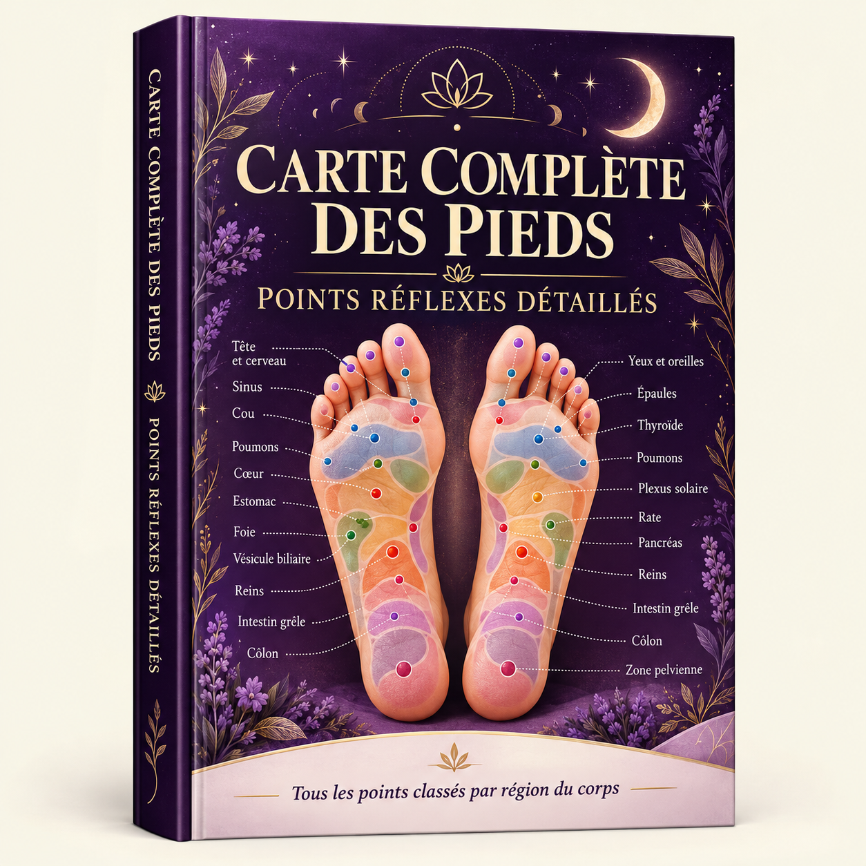 Bonus 1 : Carte Complète des Pieds + Points Réflexes Détaillés